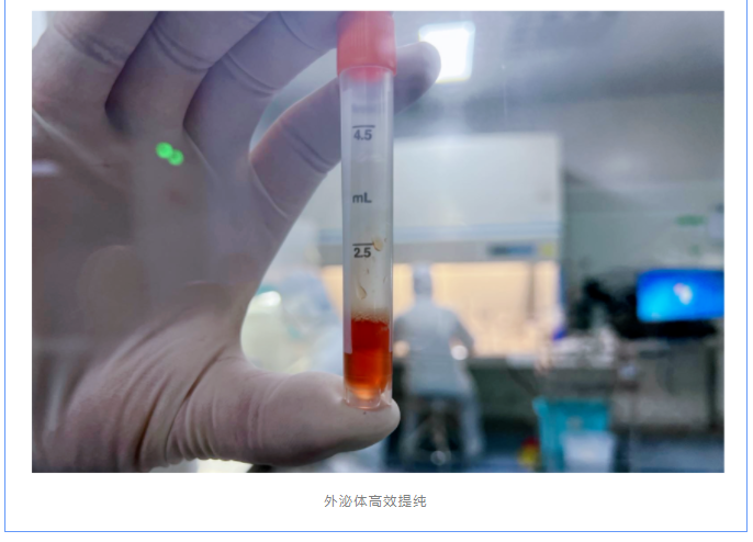 微信图片_20230322152547.png